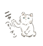 猫のひまともも（個別スタンプ：17）