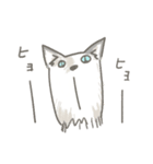 猫のひまともも（個別スタンプ：20）