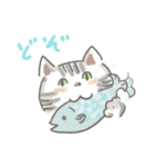 猫のひまともも（個別スタンプ：25）