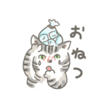 猫のひまともも（個別スタンプ：27）