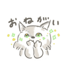 猫のひまともも（個別スタンプ：29）