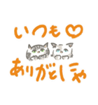 猫のひまともも（個別スタンプ：36）