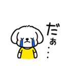 いっつもマルチーズ（個別スタンプ：6）