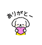 いっつもマルチーズ（個別スタンプ：8）