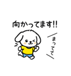 いっつもマルチーズ（個別スタンプ：13）