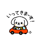 いっつもマルチーズ（個別スタンプ：14）