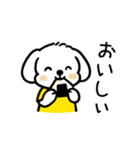 いっつもマルチーズ（個別スタンプ：19）
