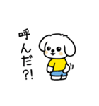 いっつもマルチーズ（個別スタンプ：20）