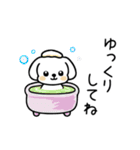 いっつもマルチーズ（個別スタンプ：22）