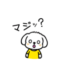 いっつもマルチーズ（個別スタンプ：27）