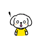 いっつもマルチーズ（個別スタンプ：28）