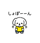 いっつもマルチーズ（個別スタンプ：29）