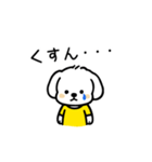 いっつもマルチーズ（個別スタンプ：30）
