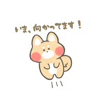 ほっこり☕ゆるふわ柴ちゃんズ（個別スタンプ：3）