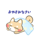 ほっこり☕ゆるふわ柴ちゃんズ（個別スタンプ：10）