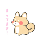 ほっこり☕ゆるふわ柴ちゃんズ（個別スタンプ：11）