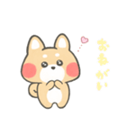ほっこり☕ゆるふわ柴ちゃんズ（個別スタンプ：12）