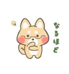 ほっこり☕ゆるふわ柴ちゃんズ（個別スタンプ：13）
