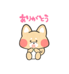 ほっこり☕ゆるふわ柴ちゃんズ（個別スタンプ：16）