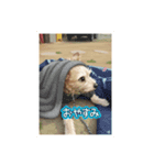 母を忘れない（個別スタンプ：8）