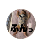 いおりくんだよううううう！（個別スタンプ：14）