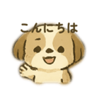 シーズー 日常挨拶（個別スタンプ：2）