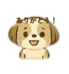 シーズー 日常挨拶（個別スタンプ：5）
