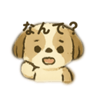 シーズー 日常挨拶（個別スタンプ：6）