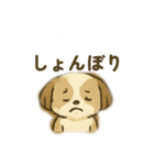 シーズー 日常挨拶（個別スタンプ：9）