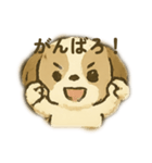 シーズー 日常挨拶（個別スタンプ：10）