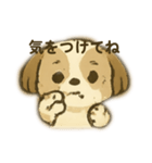 シーズー 日常挨拶（個別スタンプ：15）