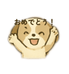 シーズー 日常挨拶（個別スタンプ：17）