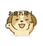 シーズー 日常挨拶（個別スタンプ：21）