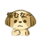 シーズー 日常挨拶（個別スタンプ：23）