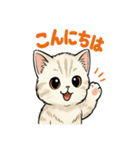 かわいい子猫のゆるふわスタンプ（個別スタンプ：1）