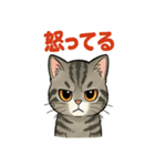 かわいい子猫のゆるふわスタンプ（個別スタンプ：5）