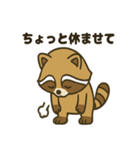ゆるかわ☆たぬきの毎日スタンプ（個別スタンプ：38）