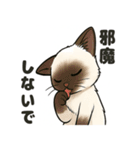 可愛い子猫のゆるふわスタンプ2（個別スタンプ：2）