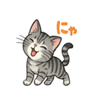 可愛い子猫のゆるふわスタンプ2（個別スタンプ：3）