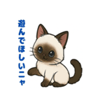 可愛い子猫のゆるふわスタンプ2（個別スタンプ：8）