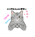 トラ猫 モフたん かわいい日常＆癒しstamp（個別スタンプ：3）