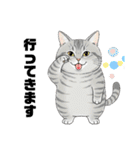 トラ猫 モフたん かわいい日常＆癒しstamp（個別スタンプ：4）