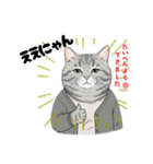 トラ猫 モフたん かわいい日常＆癒しstamp（個別スタンプ：5）