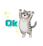 トラ猫 モフたん かわいい日常＆癒しstamp（個別スタンプ：6）