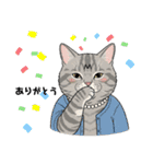 トラ猫 モフたん かわいい日常＆癒しstamp（個別スタンプ：8）