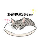 トラ猫 モフたん かわいい日常＆癒しstamp（個別スタンプ：10）