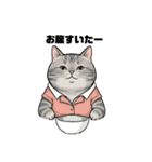 トラ猫 モフたん かわいい日常＆癒しstamp（個別スタンプ：12）