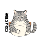 トラ猫 モフたん かわいい日常＆癒しstamp（個別スタンプ：13）
