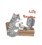 トラ猫 モフたん かわいい日常＆癒しstamp（個別スタンプ：16）