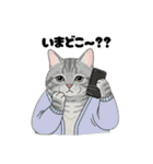 トラ猫 モフたん かわいい日常＆癒しstamp（個別スタンプ：18）
